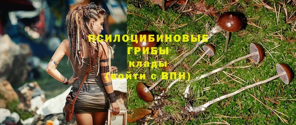 молекула духа Баксан